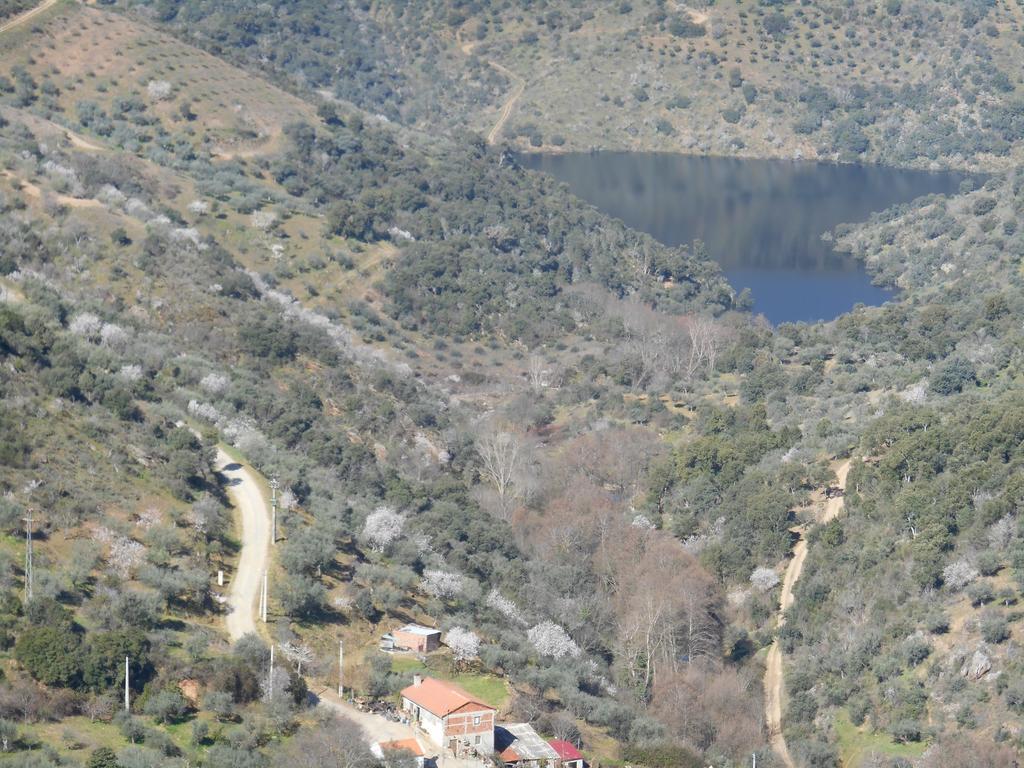 Casa Do Souto Villa Quinta do Souto Bagian luar foto