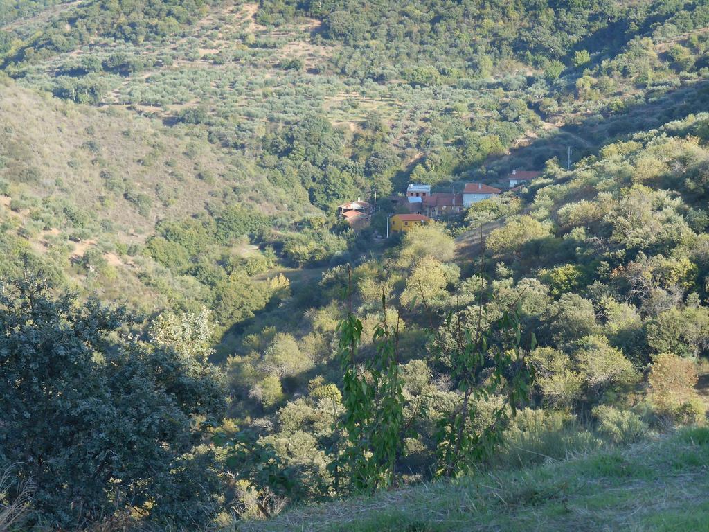 Casa Do Souto Villa Quinta do Souto Bagian luar foto